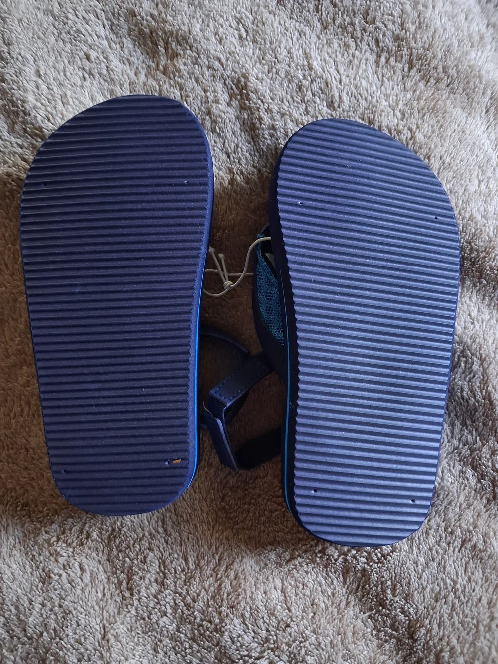 Kids Navy Shark Print Flip Flop Sandals 8T